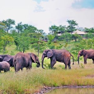 The Elephant Camp - Victoria Falls Package - 3 Nights