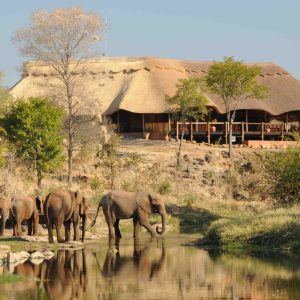 Wallow Lodge (4 star) - Victoria Falls Package - 3 Nights